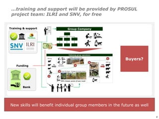 An affordable, accessible and profitable approach to cattle fattening in Mozambique