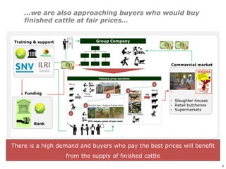 An affordable, accessible and profitable approach to cattle fattening in Mozambique