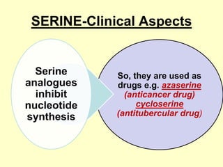 SERINE-Clinical Aspects

Serine
analogues
inhibit
nucleotide
synthesis

So, they are used as
drugs e.g. azaserine
(anticancer drug)
cycloserine
(antitubercular drug)

 