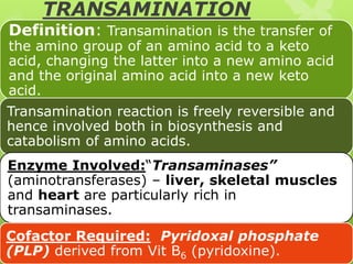 TRANSAMINATION

Definition: Transamination is the transfer of

the amino group of an amino acid to a keto
acid, changing the latter into a new amino acid
and the original amino acid into a new keto
acid.
Transamination reaction is freely reversible and
hence involved both in biosynthesis and
catabolism of amino acids.
Enzyme Involved:“Transaminases”
(aminotransferases) – liver, skeletal muscles
and heart are particularly rich in
transaminases.
Cofactor Required: Pyridoxal phosphate
(PLP) derived from Vit B6 (pyridoxine).

 