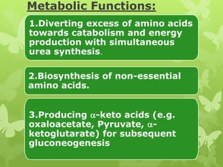 Metabolic Functions:
1.Diverting excess of amino acids
towards catabolism and energy
production with simultaneous
urea synthesis.

2.Biosynthesis of non-essential
amino acids.
3.Producing -keto acids (e.g.
oxaloacetate, Pyruvate, ketoglutarate) for subsequent
gluconeogenesis

 
