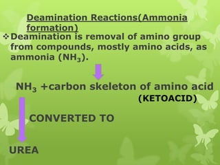Deamination Reactions(Ammonia
formation)
Deamination is removal of amino group
from compounds, mostly amino acids, as
ammonia (NH3).

NH3 +carbon skeleton of amino acid
(KETOACID)

CONVERTED TO
UREA

 
