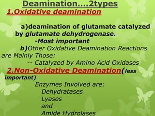 Deamination….2types

1.Oxidative deamination

a)deamination of glutamate catalyzed
by glutamate dehydrogenase.
-Most important
b)Other Oxidative Deamination Reactions
are Mainly Those:
-- Catalyzed by Amino Acid Oxidases

2.Non-Oxidative Deamination(less

important)

Enzymes Involved are:
Dehydratases
Lyases
and
Amide Hydrolases

 