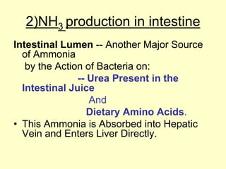 2)NH3 production in intestine
Intestinal Lumen -- Another Major Source
of Ammonia
by the Action of Bacteria on:
-- Urea Present in the
Intestinal Juice
And
Dietary Amino Acids.
• This Ammonia is Absorbed into Hepatic
Vein and Enters Liver Directly.

 
