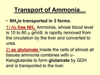 Transport of Ammonia…
• NH3is transported in 3 forms.
1) As free NH3 Ammonia, whose blood level
is 10 to 80 gm/dl, is rapidly removed from
the circulation by the liver and converted to
urea.
2) as glutamate Inside the cells of almost all
tissues ammonia combines with Ketoglutarate to form glutamate by GDH
and is transported to the liver.

 