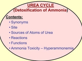 UREA CYCLE
(Detoxification of Ammonia)
Contents:
• Synonyms
• Site
• Sources of Atoms of Urea
• Reactions
• Functions
• Ammonia Toxicity – Hyperammonemia

 