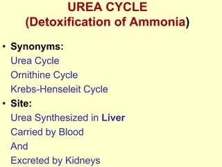UREA CYCLE
(Detoxification of Ammonia)
• Synonyms:
Urea Cycle
Ornithine Cycle
Krebs-Henseleit Cycle
• Site:
Urea Synthesized in Liver
Carried by Blood
And
Excreted by Kidneys

 