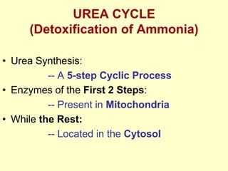 UREA CYCLE
(Detoxification of Ammonia)
• Urea Synthesis:
-- A 5-step Cyclic Process
• Enzymes of the First 2 Steps:
-- Present in Mitochondria
• While the Rest:
-- Located in the Cytosol

 