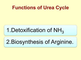 Functions of Urea Cycle

1.Detoxification of NH3
2.Biosynthesis of Arginine.

 
