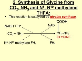 2. Synthesis of Glycine from
CO2, NH3 and N5, N10 methylene
THFA:

• This reaction is catalyzed by glycine synthase.

COOH
NADH + H+

NAD+
CH2-NH2
GLYCINE

CO2 + NH3
N5, N10-methylene FH4

FH4

 