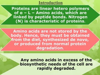 Introduction
Proteins are linear hetero polymers
of α – L – Amino acids, which are
linked by peptide bonds. Nitrogen
(N) is characteristic of proteins.
Amino acids are not stored by the
body. Hence, they must be obtained
from the diet, synthesized de novo,
or produced from normal protein
degradation.

Any amino acids in excess of the
biosynthetic needs of the cell are
rapidly degraded.

 