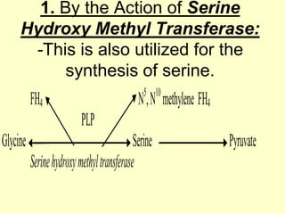 1. By the Action of Serine
Hydroxy Methyl Transferase:
-This is also utilized for the
synthesis of serine.
5 10

FH4

N , N methylene FH4
PLP

Glycine

Serine
Serine hydroxy methyl transferase

Pyruvate

 