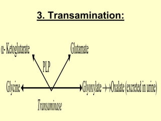 3. Transamination:

- Ketoglutarate

Glutamate
PLP

Glycine

Glyoxylate Oxalate (excreted in urine)
Transaminase

 