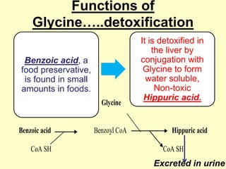 Functions of
Glycine…..detoxification
Benzoic acid, a
food preservative,
is found in small
amounts in foods.
Glycine

Benzoic acid
CoA SH

Benzoyl CoA

It is detoxified in
the liver by
conjugation with
Glycine to form
water soluble,
Non-toxic
Hippuric acid.

Hippuric acid
CoA SH

Excreted in urine

 