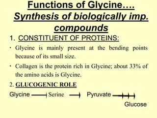 Functions of Glycine….
Synthesis of biologically imp.
compounds
1. CONSTITUENT OF PROTEINS:
 Glycine is mainly present at the bending points
because of its small size.
 Collagen is the protein rich in Glycine; about 33% of
the amino acids is Glycine.

2. GLUCOGENIC ROLE
Glycine

Serine

Pyruvate
Glucose

 