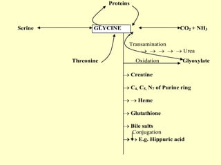 Proteins

Serine

GLYCINE

CO2 + NH3
Transamination
Urea

Threonine

Oxidation

Glyoxylate

Creatine
C4, C5, N7 of Purine ring
Heme
Glutathione
Bile salts
Conjugation
E.g. Hippuric acid

 