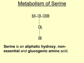 Metabolism of Serine
H2N – CH – COOH
CH2
OH
Serine is an aliphatic hydroxy, nonessential and glucogenic amino acid.

 
