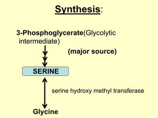 Synthesis:
3-Phosphoglycerate(Glycolytic
intermediate)
(major source)

SERINE
serine hydroxy methyl transferase

Glycine

 
