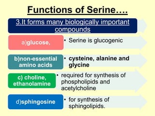 Functions of Serine….
3.It forms many biologically important
compounds
a)glucose,
b)non-essential
amino acids

• Serine is glucogenic
• cysteine, alanine and
glycine

• required for synthesis of
c) choline,
phospholipids and
ethanolamine
acetylcholine
d)sphingosine

• for synthesis of
sphingolipids.

 