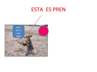 ESTA ES PREN
Este
año si
que
salgo

 