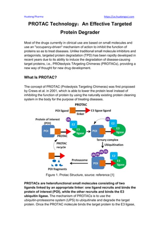 Huateng Pharma https://us.huatengsci.com
PROTAC Technology：An Effective Targeted
Protein Degrader
Most of the drugs currently in clinical use are based on small molecules and
use an "occupancy-driven" mechanism of action to inhibit the function of
proteins so as to treat diseases. Unlike traditional small molecule inhibitors and
antagonists, targeted protein degradation (TPD) has been rapidly developed in
recent years due to its ability to induce the degradation of disease-causing
target proteins, i.e., PROteolysis TArgeting Chimeras (PROTACs), providing a
new way of thought for new drug development.
What Is PROTAC?
The concept of PROTAC (Proteolysis Targeting Chimeras) was first proposed
by Crews et al. in 2001, which is able to lower the protein level instead of
inhibiting the function of protein by using the naturally existing protein cleaning
system in the body for the purpose of treating diseases.
Figure 1. Protac Structure, source: reference [1]
PROTACs are heterofunctional small molecules consisting of two
ligands linked by an appropriate linker: one ligand recruits and binds the
protein of interest (POI), while the other recruits and binds the E3
ubiquitin ligase. The mechanism of PROTACs is to use the
ubiquitin-proteasome system (UPS) to ubiquitinate and degrade the target
protein. Once the PROTAC molecule binds the target protein to the E3 ligase,
 