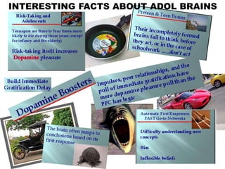 INTERESTING FACTS ABOUT ADOL BRAINS
 