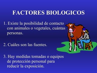 FACTORES BIOLOGICOS 1. Existe la posibilidad de contacto con animales o vegetales, cuántas personas. 2. Cuáles son las fuentes. 3. Hay medidas tomadas o equipos de protección personal para reducir la exposición. 