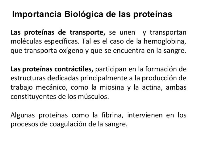 Prote 1