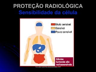 PROTEÇÃO RADIOLÓGICA
Sensibilidade da célula

TCC 2007-CENTRO EDUCACIONAL ETIP

 