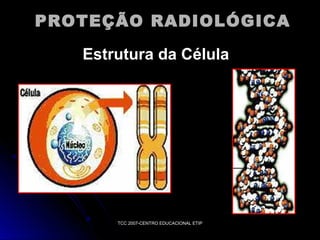 PROTEÇÃO RADIOLÓGICA
Estrutura da Célula

TCC 2007-CENTRO EDUCACIONAL ETIP

 