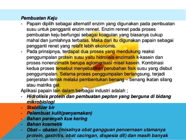 Protease (enzim papain) ppt