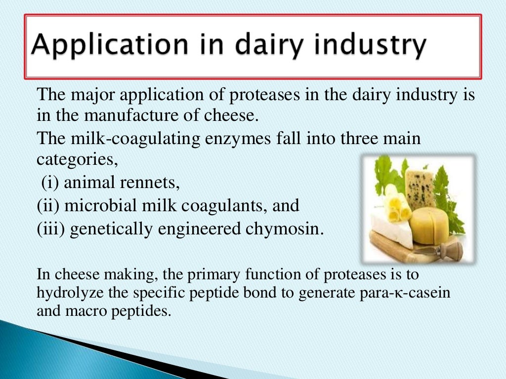 Protease Enzyme Application in Food Processing