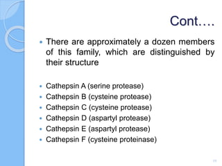 Cont….
 There are approximately a dozen members
of this family, which are distinguished by
their structure
 Cathepsin A (serine protease)
 Cathepsin B (cysteine protease)
 Cathepsin C (cysteine protease)
 Cathepsin D (aspartyl protease)
 Cathepsin E (aspartyl protease)
 Cathepsin F (cysteine proteinase)
19
 