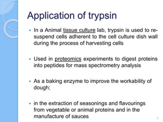 Application of trypsin
 In a Animal tissue culture lab, trypsin is used to re-
suspend cells adherent to the cell culture dish wall
during the process of harvesting cells
 Used in proteomics experiments to digest proteins
into peptides for mass spectrometry analysis
 As a baking enzyme to improve the workability of
dough;
 in the extraction of seasonings and flavourings
from vegetable or animal proteins and in the
manufacture of sauces 21
 