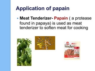 Application of papain
 Meat Tenderizer- Papain ( a protease
found in papaya) is used as meat
tenderizer to soften meat for cooking
 