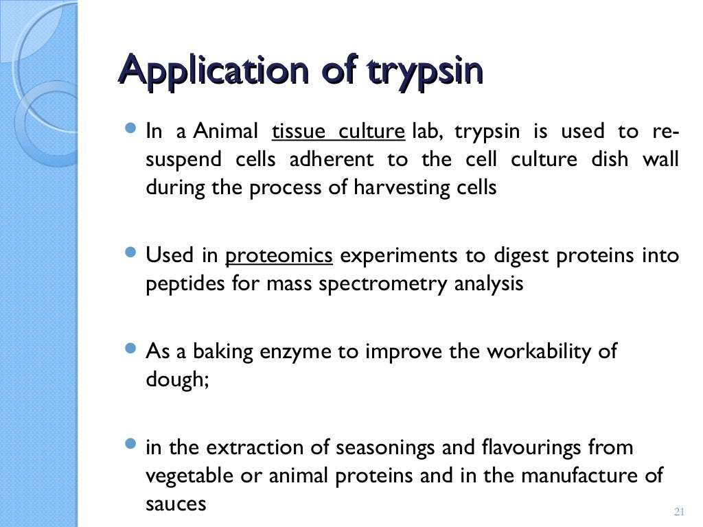 Protease enzymes
