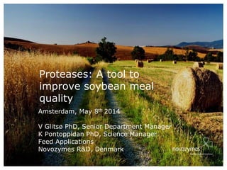 Amsterdam, May 8th 2014
V Glitsø PhD, Senior Department Manager
K Pontoppidan PhD, Science Manager
Feed Applications
Novozymes R&D, Denmark
Proteases: A tool to
improve soybean meal
quality
 