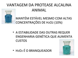 VANTAGEM DA PROTEASE ALCALINA
          ANIMAL
  • MANTÉM ESTÁVEL MESMO COM ALTAS
    CONCENTRAÇÕES DE H2O2 (10%)

  • A ESTABILIDADE DAS OUTRAS REQUER
    ENGENHARIA GENÉTICA QUE AUMENTA
    CUSTOS

  • H2O2 É O BRANQUEADOR
 