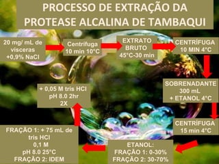 PROCESSO DE EXTRAÇÃO DA
      PROTEASE ALCALINA DE TAMBAQUI
20 mg/ mL de                        EXTRATO          CENTRÍFUGA
                     Centrífuga
  vísceras                           BRUTO            10 MIN 4°C
                    10 min 10°C
 +0,9% NaCl                        45°C-30 min



                                                 SOBRENADANTE
           + 0,05 M tris HCl                         300 mL
               pH 8.0 2hr                         + ETANOL 4°C
                  2X


                                                     CENTRÍFUGA
FRAÇÃO 1: + 75 mL de                                  15 min 4°C
      tris HCl
        0,1 M                        ETANOL:
    pH 8.0 25°C                   FRAÇÃO 1: 0-30%
  FRAÇÃO 2: IDEM                  FRAÇÃO 2: 30-70%
 