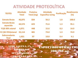 ATIVIDADE PROTEOLÍTICA
                  Atividade    Proteína       Atividade                Rendimento
    TESTES                                                 Purificação
                    Total     Total (mg)   Específica U/mg                 (%)

 Extrato Bruto     46,875        834            56.2          1.0       100.0
 Extrato Bruto
                   44,574        623            71.6          1.3        95.1
   aquecido
F1(0-30% etanol    6,971         448            15.6          0.3        14.9
F2 (30-70%)etanol 35,114         481            73.0          1.3        74.9
  Sobrenadante
                   1,921         97             19.8          0.4        4.1
       final



       AZOCASEÍNA 1% +                     ESPECTROFOTOMETRIA
          PROTEASE
                                                280-260 nm
         SULFOAMIDA
         ALARANJADA
 