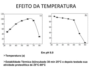 EFEITO DA TEMPERATURA




                             Em pH 8.0
Temperatura (a)

Estabilidade Térmica (b)incubado 30 min 25°C e depois testada sua
atividade proteolítica de 25°C-80°C
 