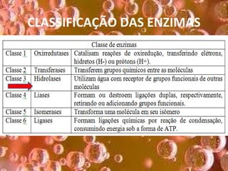 CLASSIFICAÇÃO DAS ENZIMAS
 