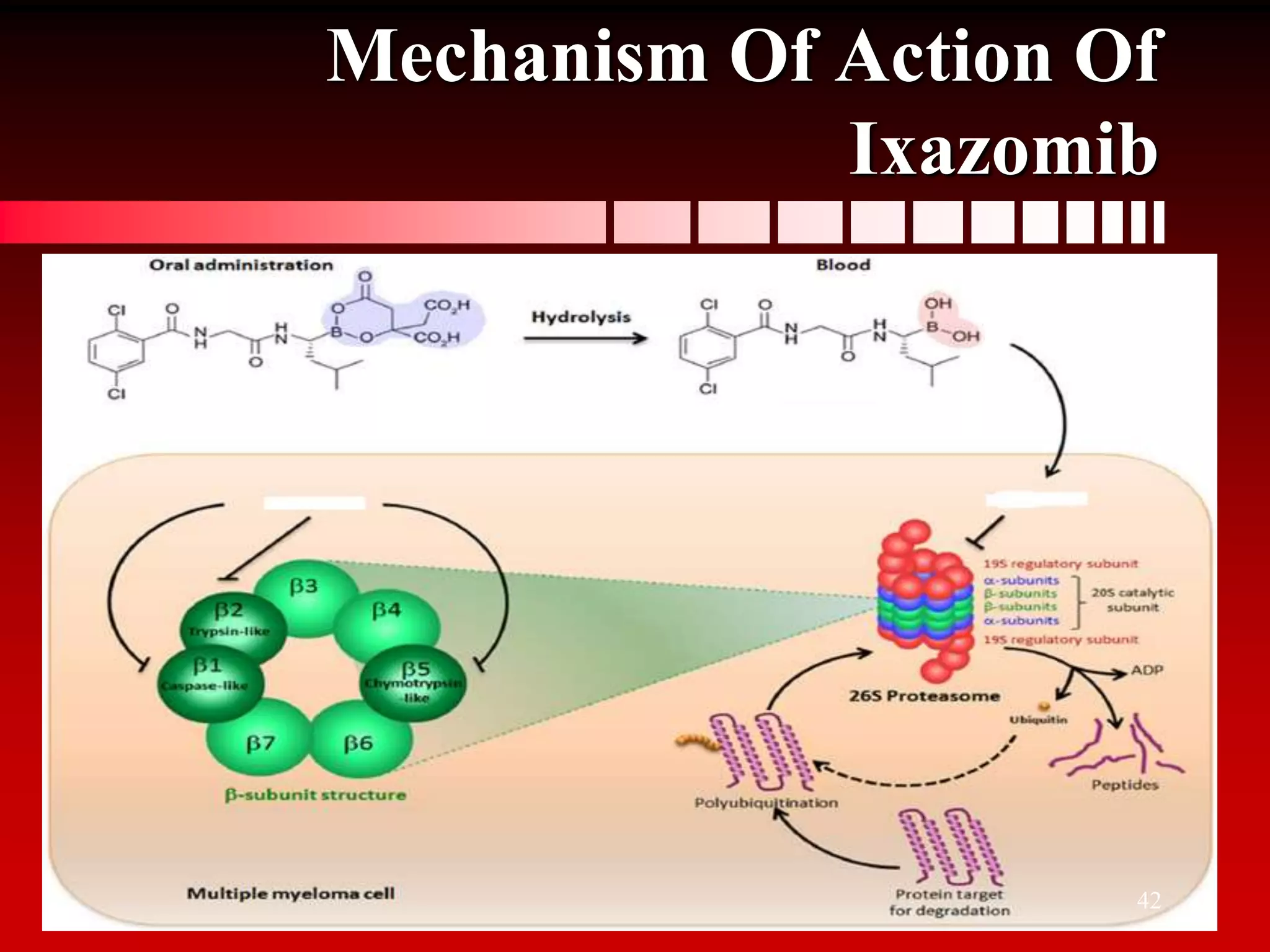 Proteasome inhibitors in cancer therapy | PPTX