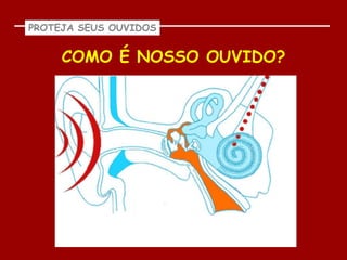 PROTEJA SEUS OUVIDOS


     COMO É NOSSO OUVIDO?
 
