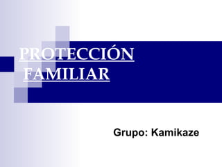PROTECCIÓN   FAMILIAR Grupo: Kamikaze 