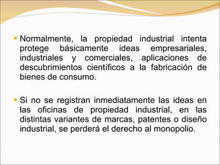 Normalmente, la propiedad industrial intenta protege básicamente ideas empresariales, industriales y comerciales, aplicaciones de descubrimientos científicos a la fabricación de bienes de consumo. Si no se registran inmediatamente las ideas en las oficinas de propiedad industrial, en las distintas variantes de marcas, patentes o diseño industrial, se perderá el derecho al monopolio. 