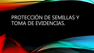 PROTECCIÓN DE SEMILLAS Y
TOMA DE EVIDENCIAS.
 