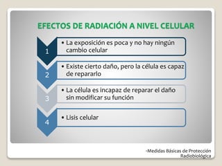 EFECTOS DE RADIACIÓN A NIVEL CELULAR
-Medidas Básicas de Protección
Radiobiológica
1
• La exposición es poca y no hay ningún
cambio celular
2
• Existe cierto daño, pero la célula es capaz
de repararlo
3
• La célula es incapaz de reparar el daño
sin modificar su función
4
• Lisis celular
 