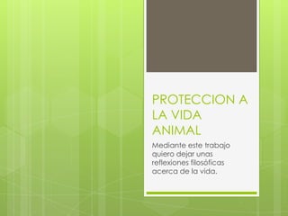 PROTECCION A
LA VIDA
ANIMAL
Mediante este trabajo
quiero dejar unas
reflexiones filosóficas
acerca de la vida.
 