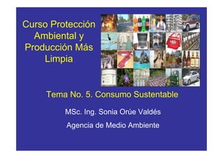 Curso Protección
  Ambiental y
Producción Más
    Limpia


     Tema No. 5. Consumo Sustentable

         MSc. Ing. Sonia Orúe Valdés
         Agencia de Medio Ambiente
 
